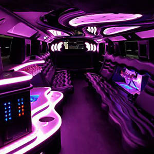 Party bus service